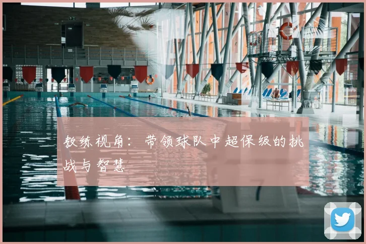 教练视角：带领球队中超保级的挑战与智慧